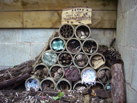 Bug hotel made from cardboard tubes